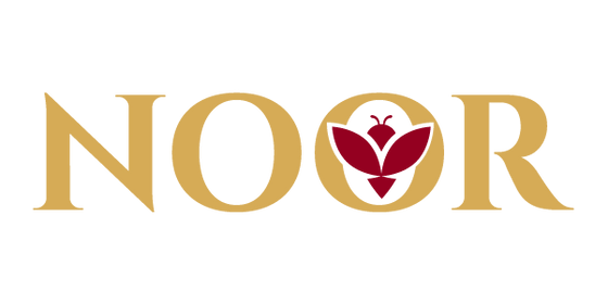 Noor logo